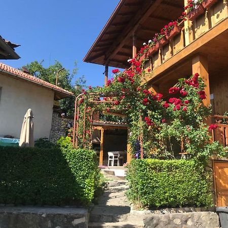 Guest House Roden Dom Koprivştitsa Dış mekan fotoğraf