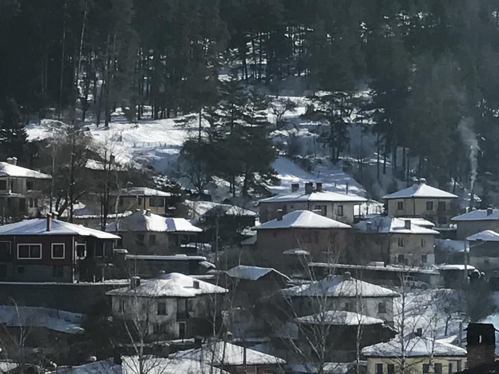Guest House Roden Dom Koprivştitsa Dış mekan fotoğraf