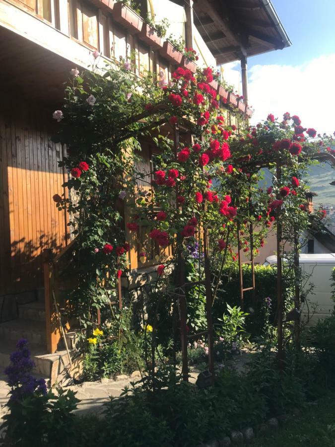 Guest House Roden Dom Koprivştitsa Dış mekan fotoğraf